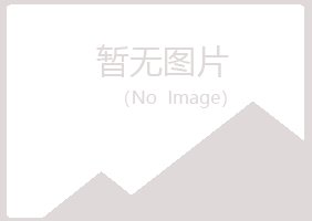 芦山县字迹化学有限公司